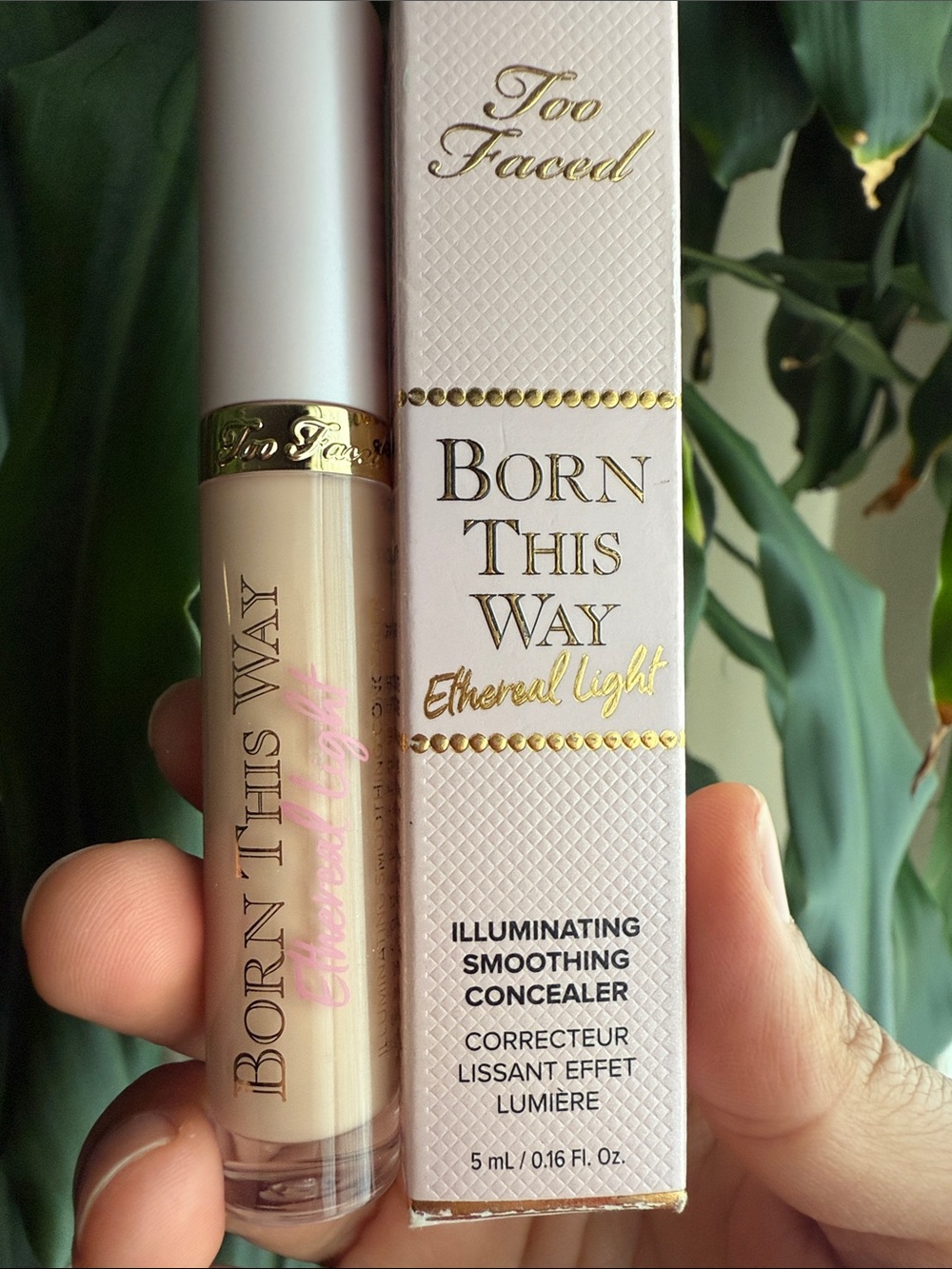 Too Faced Born This Way Concealer - Light / Beige